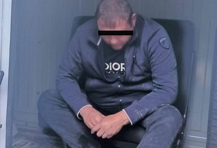 В результате погони задержан Годзилла